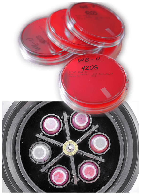 Blood Spinner 3